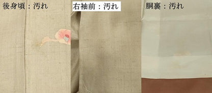 平和屋着物■上質な小紋　紬地　枝花文　正絹　逸品　DABF4041cd