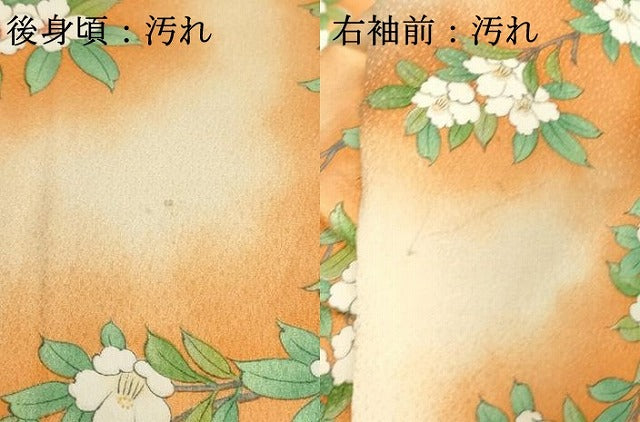 平和屋着物■上質な小紋 手描き 枝花文 暈し染め 正絹 逸品 DABF4061cd