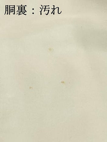 平和屋着物■訪問着　風景花文　暈し染め　金彩　正絹　逸品　DABF4103cd