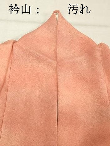 平和屋着物■上質な小紋　作家物　霞文　暈し染め　鬼しぼ縮緬　正絹　逸品　DABF4107cd