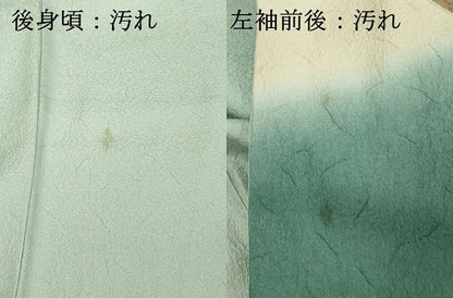 平和屋着物■中国三大刺繍 スワトウ刺繍 汕頭刺繍 訪問着 地紙花文 暈し染め 金糸 正絹 逸品 DABF4118cd