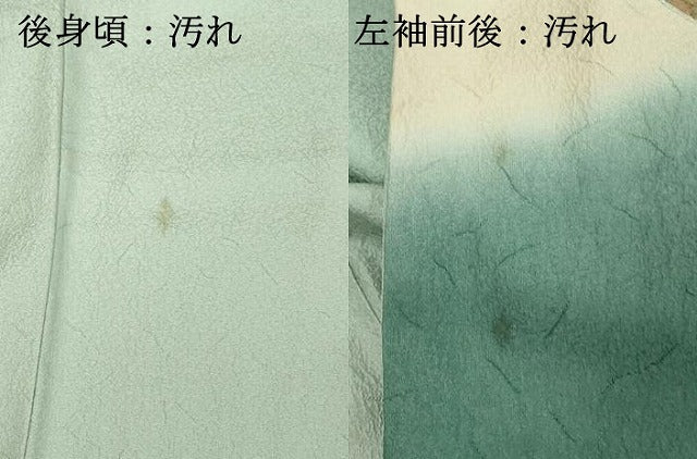 平和屋着物■中国三大刺繍 スワトウ刺繍 汕頭刺繍 訪問着 地紙花文 暈し染め 金糸 正絹 逸品 DABF4118cd