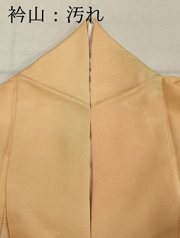 平和屋着物■上質な小紋　霞文　暈し染め　正絹　逸品　DABF4187cd