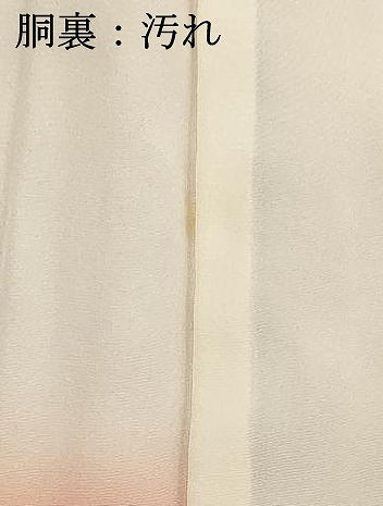 平和屋着物■上質な小紋　寿光織　亀甲花文　暈し染め　金銀糸　正絹　逸品　DABF4193cd