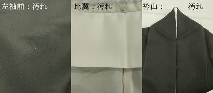 平和屋着物■豪華黒留袖 飛鶴文 金彩 正絹 逸品 DABF4249cd