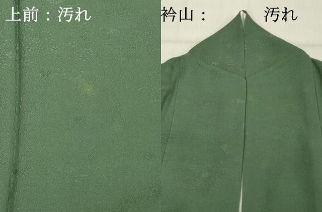 平和屋着物■上質な色無地 舞花地紋 木賊色 正絹 逸品 DABF4274cd