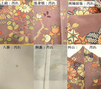 平和屋着物■訪問着　舞花文　鬼しぼ縮緬　正絹　逸品　DABF4303cd