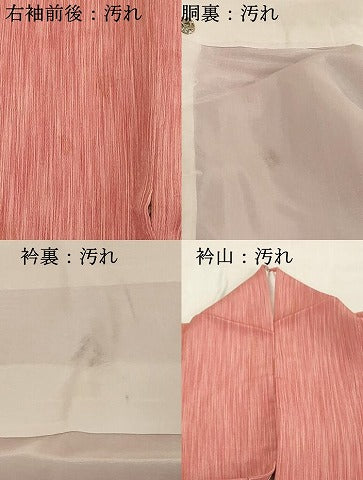 平和屋着物■上質な小紋　間道　正絹　逸品　DABF4313cd