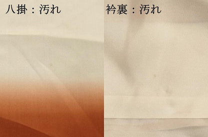 平和屋着物■訪問着　枝花文　暈し染め　金彩　正絹　逸品　DABF4322cd