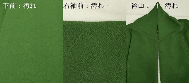 平和屋着物■ファッションデザイナー 花井幸子　色無地　老竹色　正絹　逸品　DABF4393cd