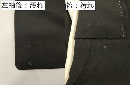 平和屋着物■豪華黒留袖　駒刺繍　地紙花鳥文　金彩　正絹　逸品　DABF4434cd