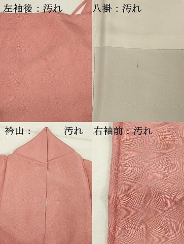 平和屋着物■江戸小紋　鮫小紋柄　正絹　逸品　DABF4435cd