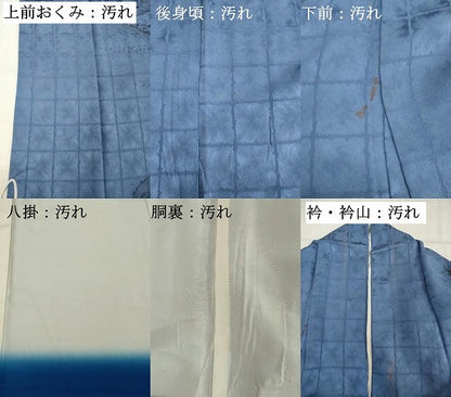 平和屋着物■訪問着 手描き 風景文 正絹 逸品 DABF4450cd