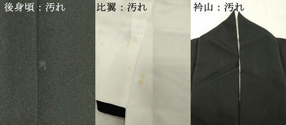 平和屋着物■豪華黒留袖 作家物 風景文 正絹 逸品 DABF4479cd