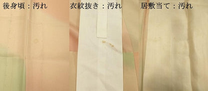 平和屋着物■長襦袢　無双仕立て　霞文　正絹　逸品　DABF4481cd