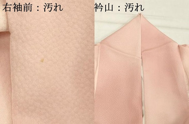 平和屋着物■訪問着　枝葉文　暈し染め　正絹　逸品　DABF4512cd
