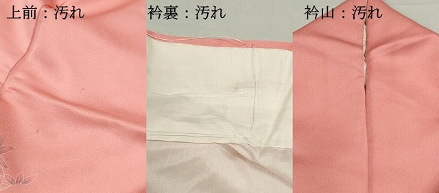 平和屋着物■訪問着　枝花文　暈し染め　正絹　逸品　DABF4602qa