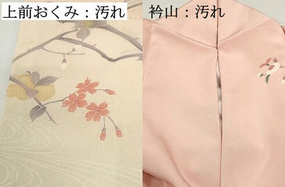 平和屋着物■訪問着　枝花文　暈し染め　金銀彩　正絹　逸品　DABF4621qa