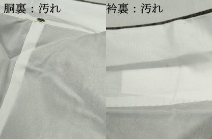 平和屋着物■上質な紬　風景文　正絹　逸品　DABF4725qa
