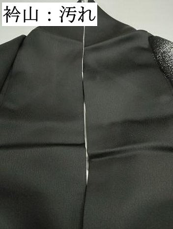 平和屋着物■訪問着　霞群鶴文　黒地　洗える着物　DABF4823qa
