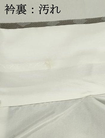 平和屋着物■上質な小紋　幾何学花文　鬼しぼ縮緬　正絹　逸品　DABF4826qa