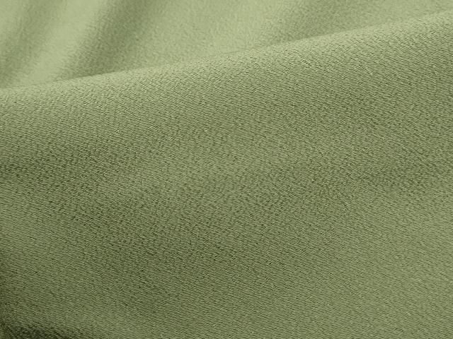 平和屋着物■上質な色無地　若葉色　胴抜き仕立て　正絹　逸品　DABF4884qa