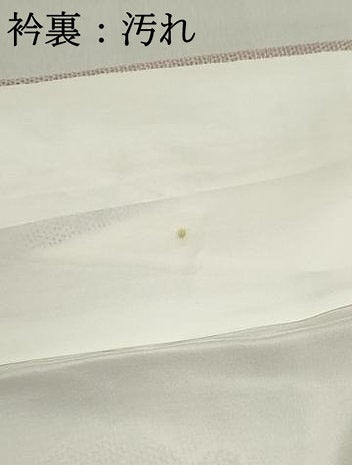 平和屋着物■上質な紬　雪輪文　正絹　逸品　DABF4905qa