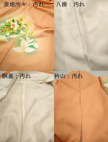平和屋着物■訪問着　草花文　暈し染め　金彩　正絹　逸品　DABF4932qa