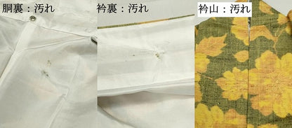 平和屋着物■上質な紬　枝花文　正絹　逸品　DABF4950qa