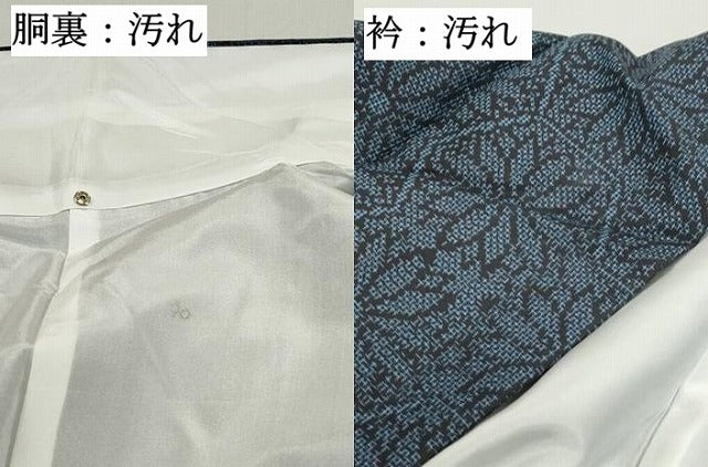 平和屋着物■本場大島紬　亀甲花文　正絹　逸品　DABF4953qa