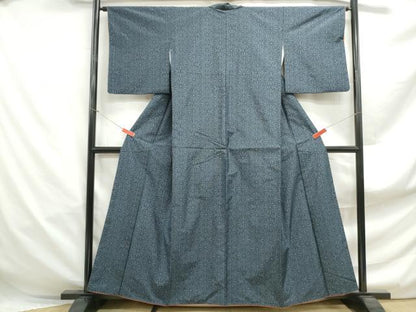 平和屋着物■本場大島紬　亀甲花文　正絹　逸品　DABF4953qa