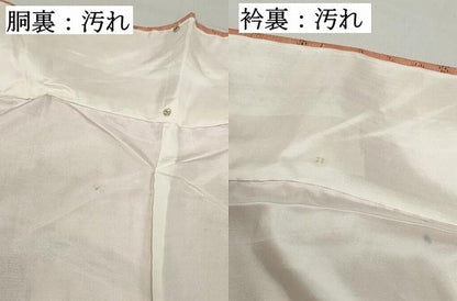 平和屋着物■上質な紬　流水飛鶴文　正絹　逸品　DABF4968qa