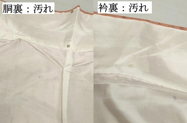 平和屋着物■上質な紬　流水飛鶴文　正絹　逸品　DABF4968qa