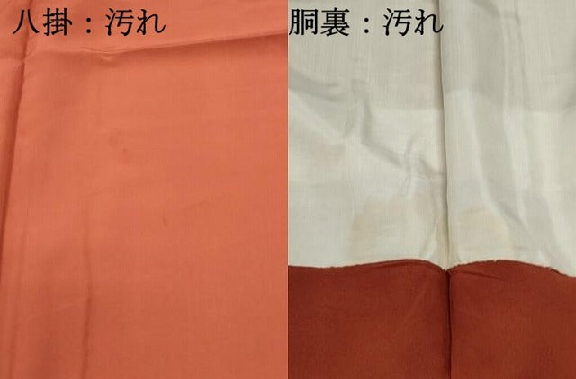 平和屋着物■上質な小紋　間道　正絹　逸品　DABF4981qa
