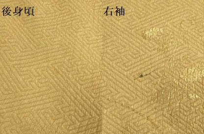 平和屋着物▽訪問着　単衣　扇花文　暈し染め　金彩　金通し地　ロング丈　正絹　逸品　DABF5526du