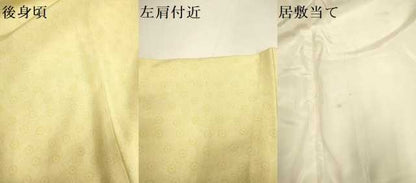 平和屋着物▽江戸小紋　単衣　作家物　舞花文　正絹　逸品　DABF5651du