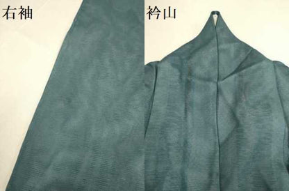 平和屋着物▽訪問着　無双　紗袷　紗×絽　草花文　正絹　逸品　DABF5665du