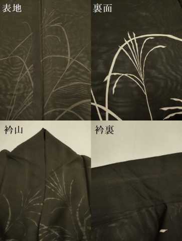 平和屋着物▽訪問着　無双　紗袷　紗×紗　夏虫　黒地　正絹　逸品　DABF5704du
