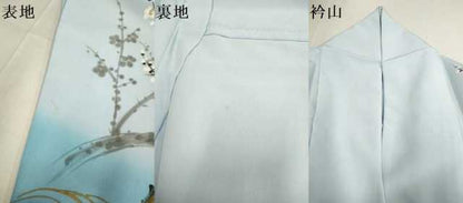平和屋着物▽訪問着　単衣　手描き　枝梅に休み鳥　暈し染め　洗える着物　DABF5791du