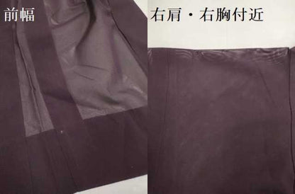 平和屋着物▽羽織　スリーシーズン　春夏秋　塵除け　草花紋紗　似せ紫色　正絹　逸品　DABF5889du