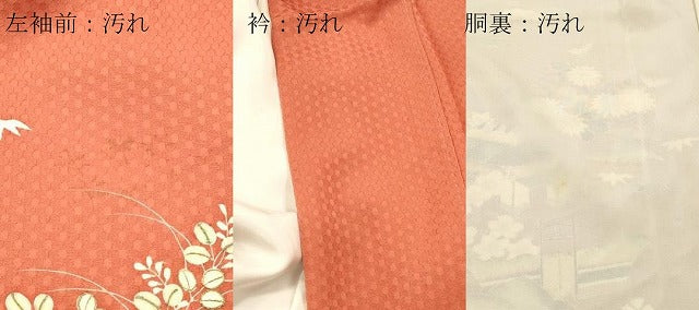 平和屋着物■訪問着 刺繍 風景文 金糸 正絹 逸品 DABF6024zy