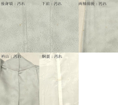 平和屋着物■西陣　京の名門　じゅらく謹製　訪問着　飛鳥枝梅文　暈し染め　正絹　逸品　DABF6046zy