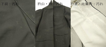 平和屋着物■豪華黒留袖　作家物　古都絵巻　金銀彩　正絹　逸品　DABF6097zy