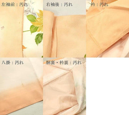 平和屋着物■訪問着 花鳥文 暈し染め 金彩 洗える着物 DABF6131zy