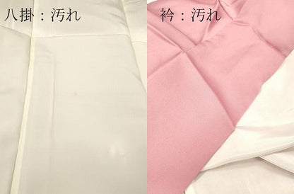 平和屋着物■訪問着　枝花文　正絹　逸品　DABF6447zy