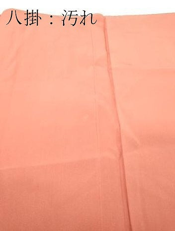 平和屋着物■訪問着　枝花文　暈し染め　金銀彩　正絹　逸品　DABF6449zy