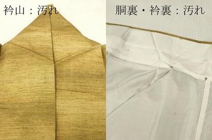 平和屋着物■上質な紬　霞文　正絹　逸品　DABF6481zy
