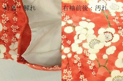 平和屋着物■上質な小紋　枝梅文　金彩　鬼しぼ縮緬　正絹　逸品　DABF6490zy