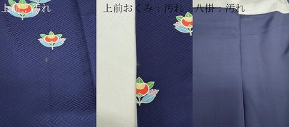 平和屋着物■上質な小紋　橘文　正絹　逸品　DABF6502zy