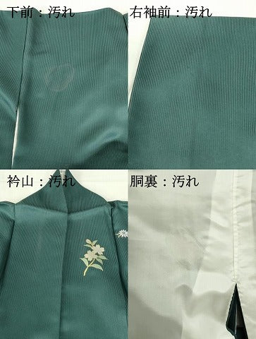 平和屋着物■訪問着　草花文　暈し染め　金彩　正絹　逸品　DABF6896qp